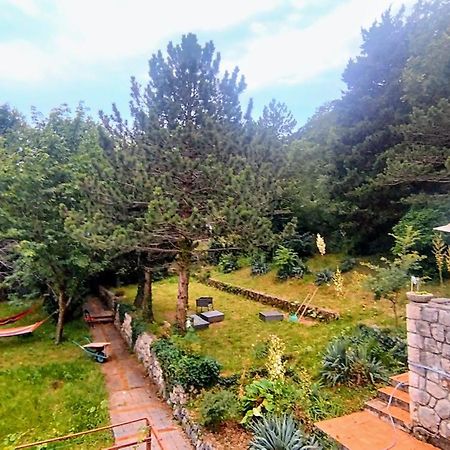 Amazing Sea-Mountain Valley View House With 3 Terraces And Huge Chill Gardens, 5Min From The Sea! Bribir  Buitenkant foto